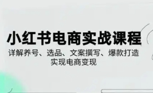 小红书从0-1实操课(2023-2025)，详解养号、选品、文案撰写、爆款打造实现电商变现-网创终点站