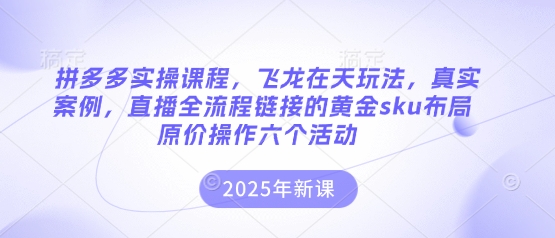 拼多多实操课程，飞龙在天玩法，真实案例，直播全流程链接的黄金sku布局原价操作六个活动-网创终点站