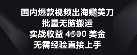 国内爆款视频出海挣美刀，批量无脑搬运，实战收益4.5k，无需经验直接上手-网创终点站