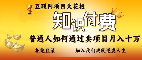 互联网项目天花板，知付付费项目，普通人如何通过卖项目月入十个，拒绝韭菜【揭秘】-网创终点站