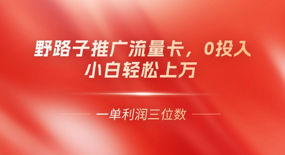0门槛推广流量卡，一单收益上百，0投入，小白月入过W-网创终点站